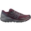 Picture of SALOMON - SENSE RIDE 4 W